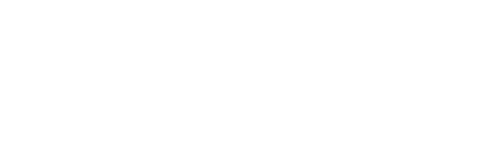 DS Model Management — home