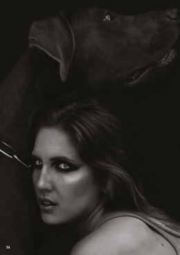 DS Model Management — editorial
