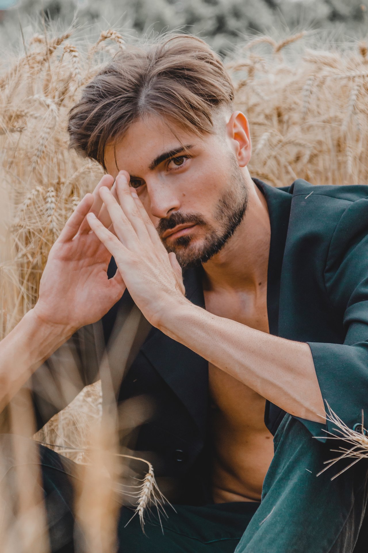 Fabio D